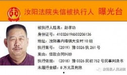 2023最新私人爆料,私人爆料背后的惊人真相